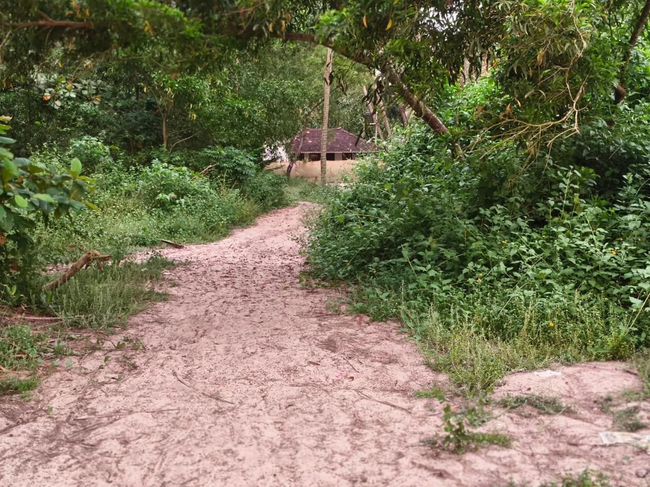 Marrari Felix Home Alappuzha المظهر الخارجي الصورة
