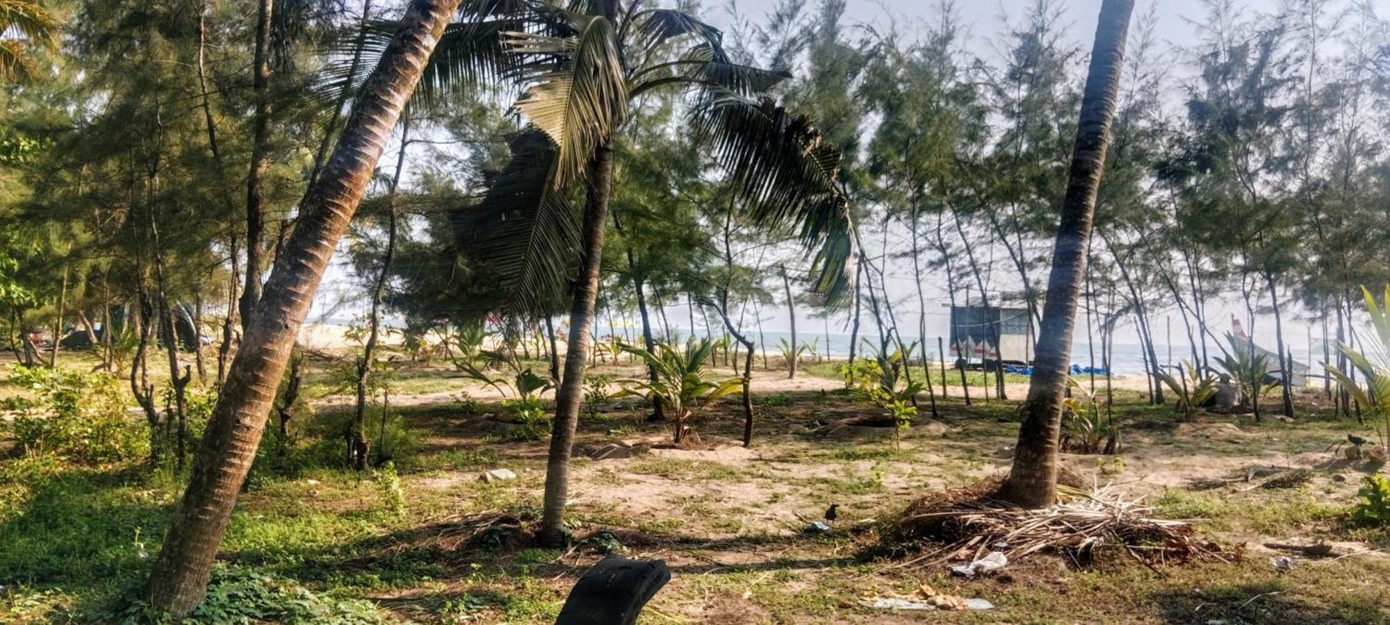 Marrari Felix Home Alappuzha المظهر الخارجي الصورة